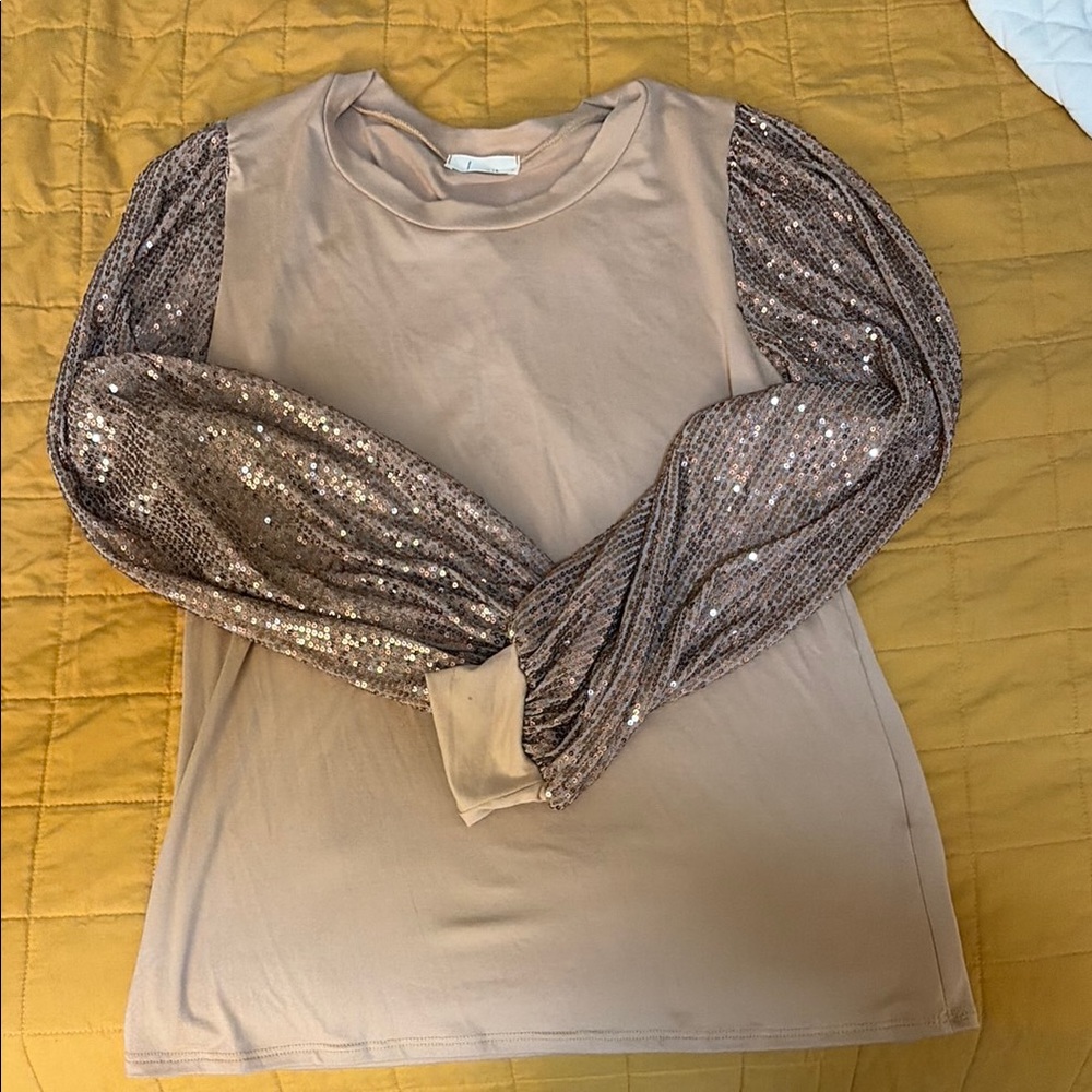 Sequin Sleeve Crewneck Top in Taupe